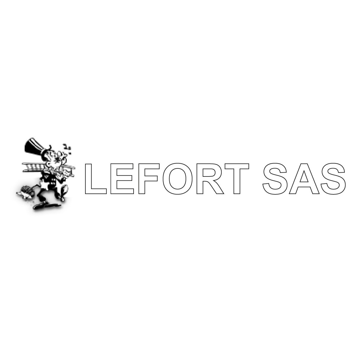 (c) Luc-lefort-couverture.com